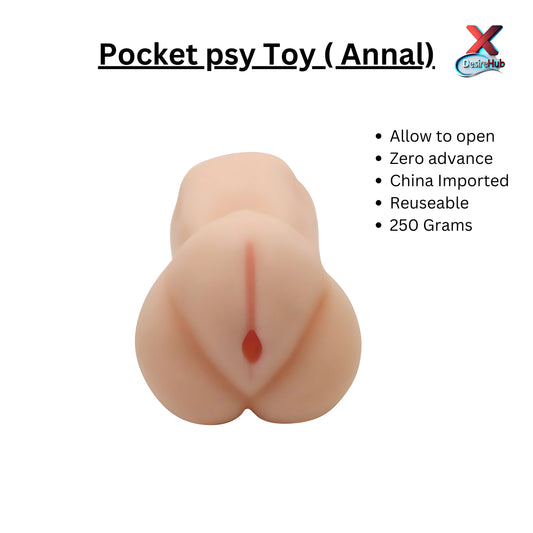 Pocket Toy (Ladies Annal)